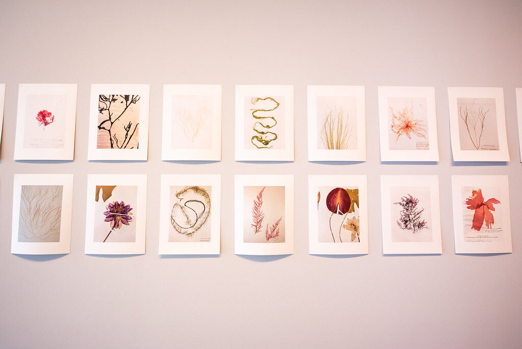 gallery art.jpg